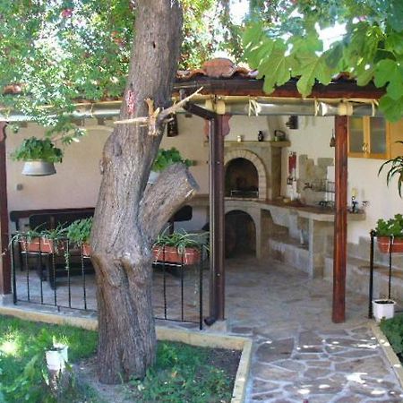 Guest House Alex Chernomorets Bagian luar foto