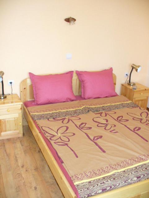 Guest House Alex Chernomorets Bagian luar foto
