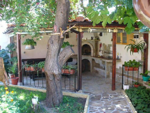 Guest House Alex Chernomorets Bagian luar foto